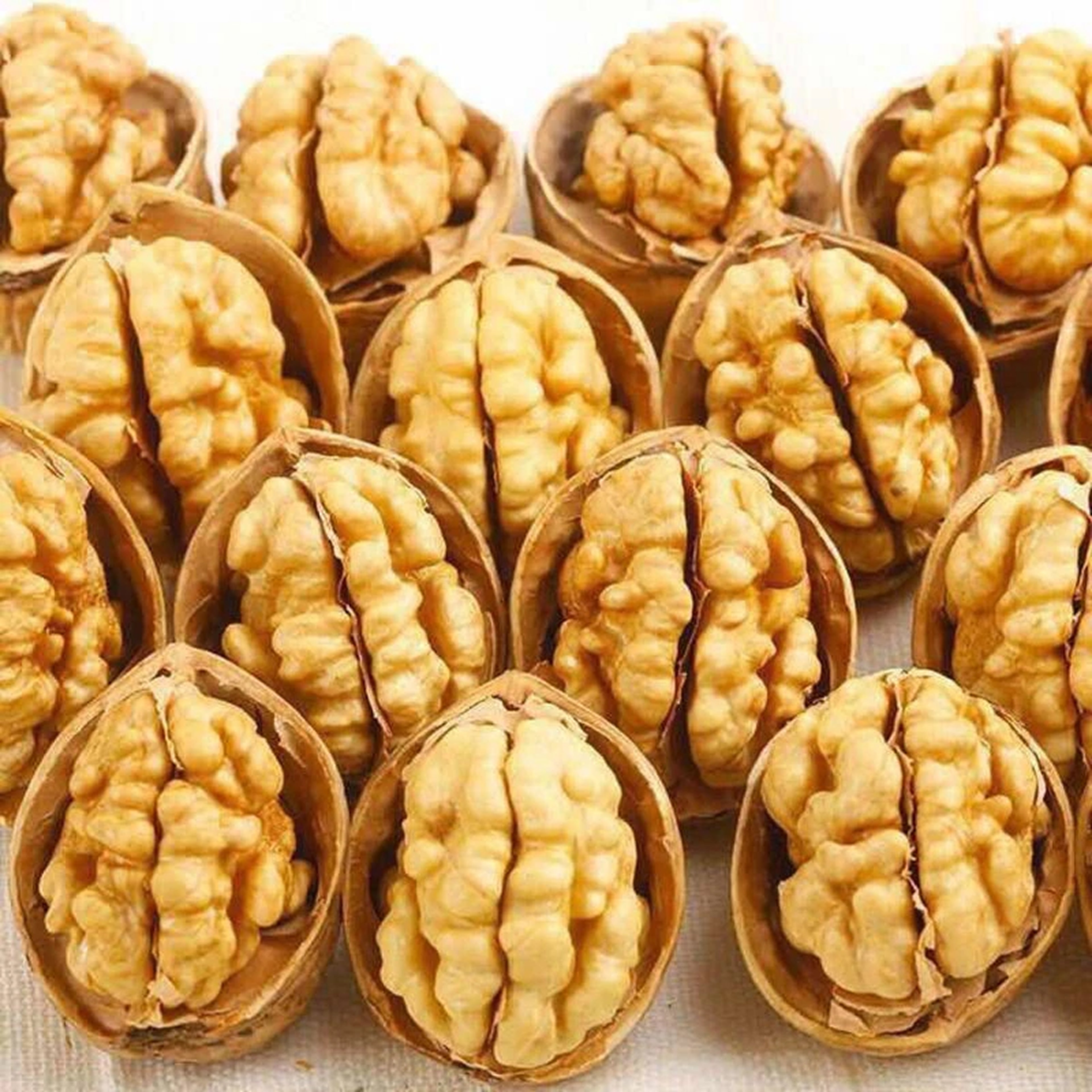 Walnuts (Turkey)